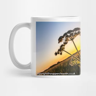 Cowslip at sunset from Meadowflower Collection Mug